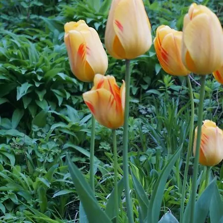 Monteurzimmer Reuhl - Rodenstein Appartement *